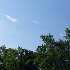 裤子丁丁男裸体网站
