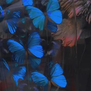 裤子丁丁男裸体网站
