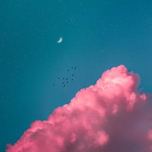 裤子丁丁男裸体网站
