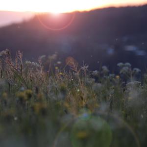 裤子丁丁男裸体网站
