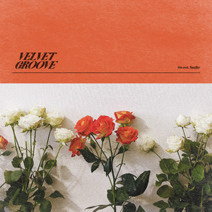 裤子丁丁男裸体网站
